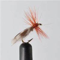 STR0154 - Europa 12 - Str.14<br>