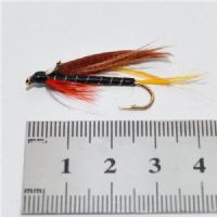 STR0162 - Thunder&Lighting J.C.  - Str.6<br>