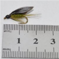 STR0163 - Olive Dun - Str.10<br>