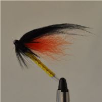 TUB0141 - Sunset 50mm<br>