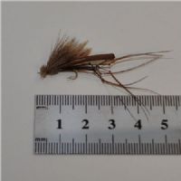 WS02029 - Tørflue - Harkrank - Farve: Natur - Str. : 12