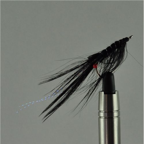 A0131 - Saltvands - Pattegrisen Spay Black - Farve: Sort - Str. : 6