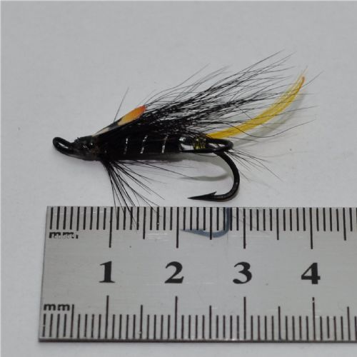 DBL0143 - Black Shrimp j.c - Str.6<br>