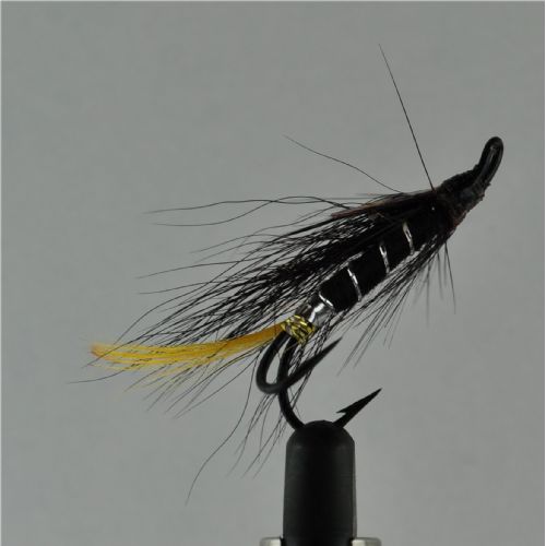 DBL0143 - Black Shrimp j.c - Str.6<br>