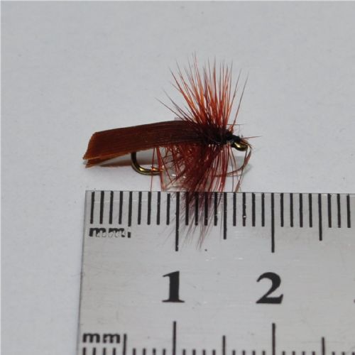 DRY0112 - Horned Sedge - Str.14<br>