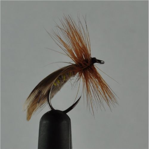 DRY0122 - europa 12 - Str.12<br>