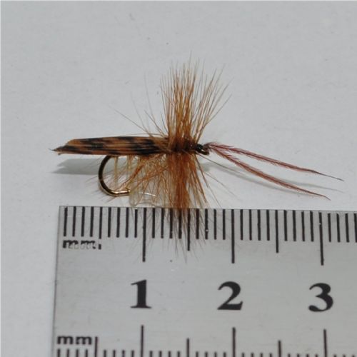 DRY0151 - Horned Sedge - Str.12<br>