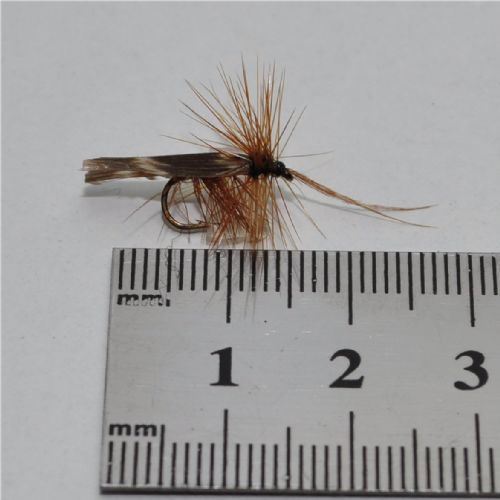 DRY0152 - Horned Sedge - Str.14<br>