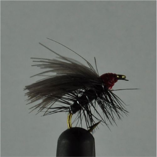 DRY0154 - Red Head Black Sedge - Str.14<br>