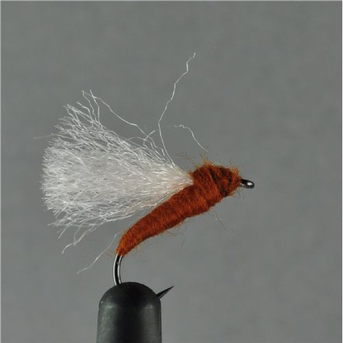 DRY0162 - Rackelhane - Str.12<br>