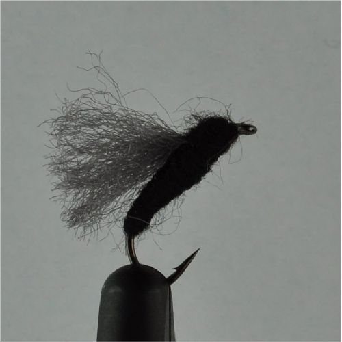 DRY0163 - Rackelhane - Str.12<br>Nattslända, et must i boxen