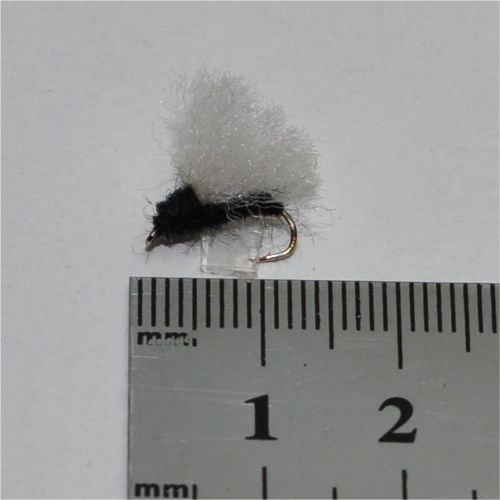 DRY0164 - Rackelhane - Str.14<br>