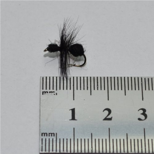 DRY0211 - Black Ant Hackle - Str.12<br>