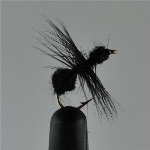 DRY0211 - Black Ant Hackle - Str.12<br>