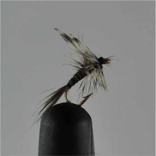 DRY0212 - Mosquito - Str.20<br>