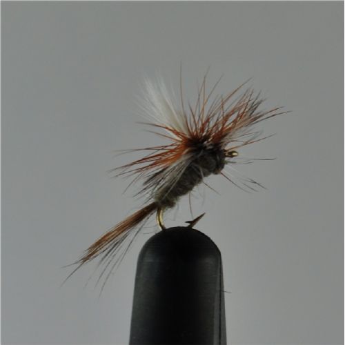 DRY0221 - Adams Parashute - Str.18<br>