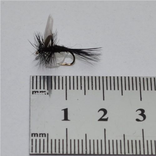 DRY0231 - Black Gnat Dry - Str.12<br>