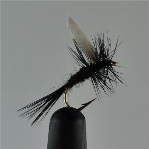 DRY0231 - Black Gnat Dry - Str.12<br>