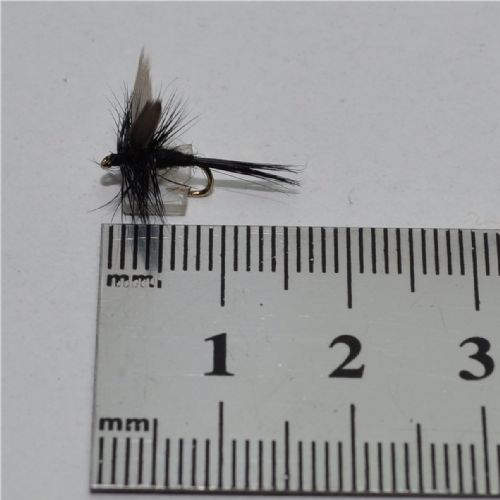 DRY0234 - Black Gnat Dry - Str.16<br>