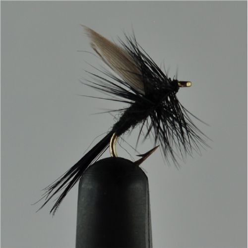 DRY0234 - Black Gnat Dry - Str.16<br>