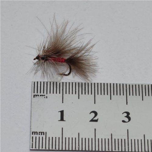 DRY0241 - Cdc Winged Caddis - Str14.<br>