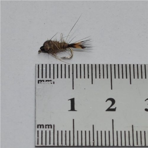 DRY0243 - G R Hares Ear Ny - Str.16<br>