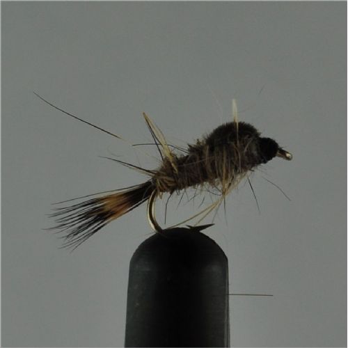DRY0243 - G R Hares Ear Ny - Str.16<br>