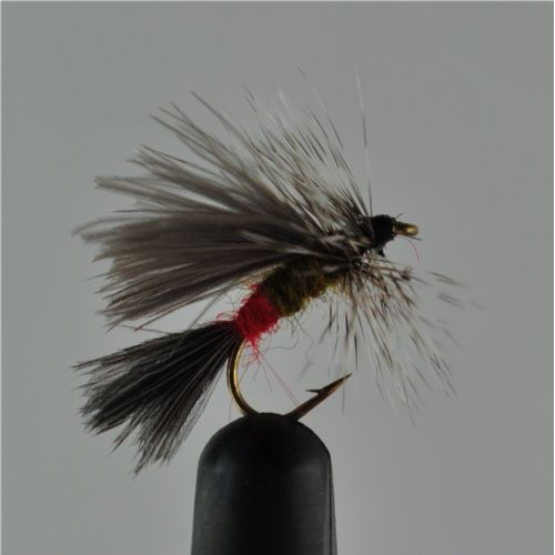 DRY0244 - Cdc Winged Caddis - Str.14<br>