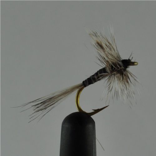 DRY0253 - Mosquito - Str12<br>