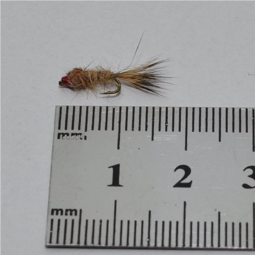 DRY0254 - G R Hares Ear Ny - Str.18<br>