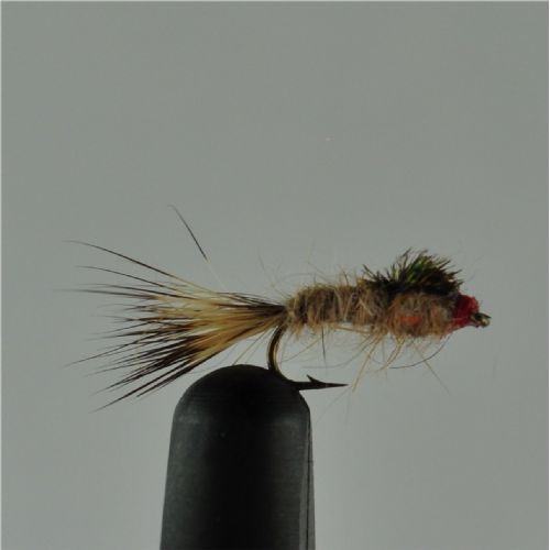 DRY0254 - G R Hares Ear Ny - Str.18<br>