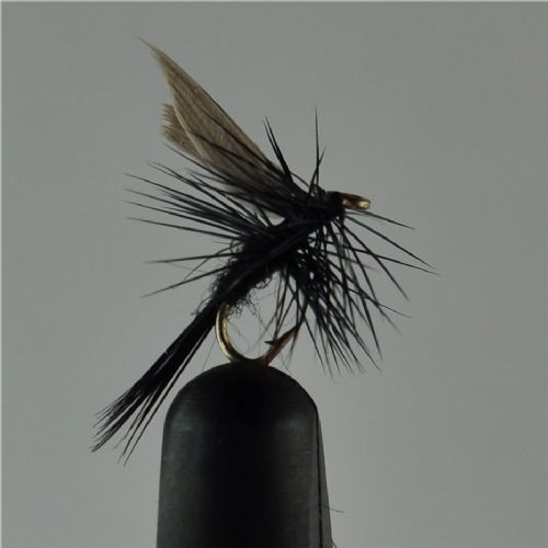DRY0261 - Black Gnat Dry - Str.18<br>
