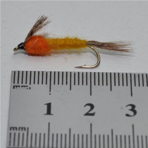 DRY0411 - Vulgata Ny. #10<br>