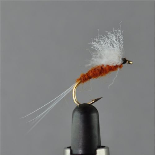 DRY0414 - Vulgata Spinner - Str.10<br>