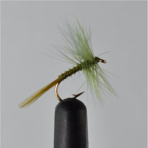 DRY0423 - Ephemera Dun Olive #14<br>