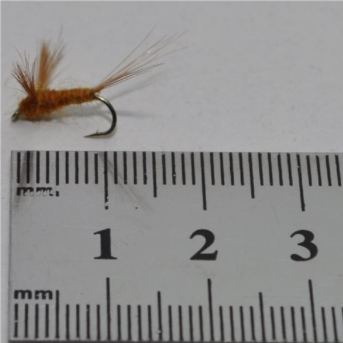 DRY0424 - Ephememera Auvrilli  Spinner #14<br>
