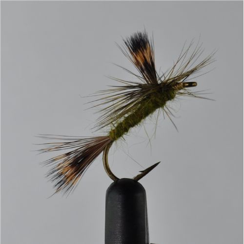DRY0451 - Danica Parashute Dun - Str.8<br>
