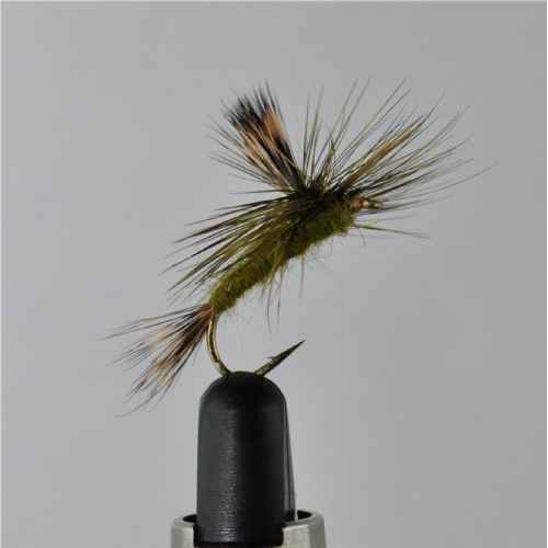 DRY0462 - Danica Parashute Dun Sttr.10<br>