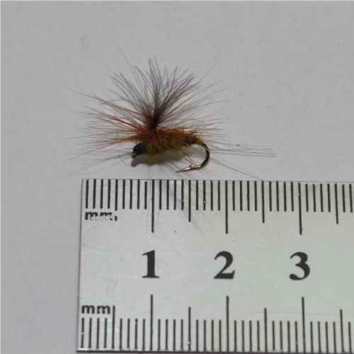 DRY0611 - Biot Aurivilli Parashute - Str.14<br>Cdc wing