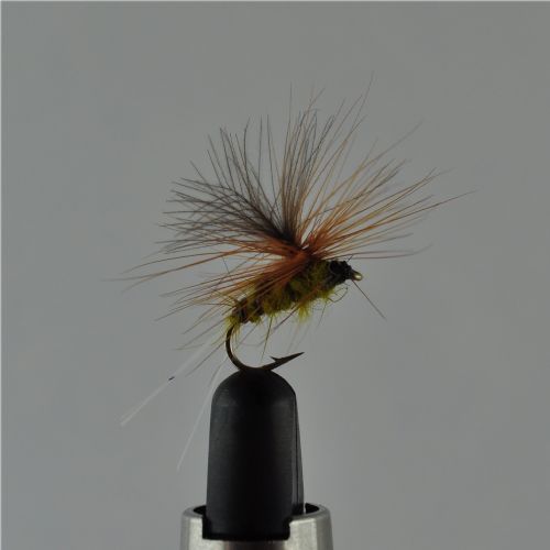 DRY0611 - Biot Aurivilli Parashute - Str.14<br>Cdc wing