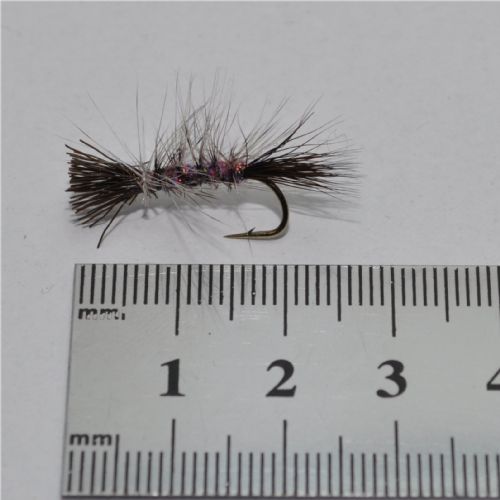 DRY0613 - Dyret The Animal - Str.10<br>