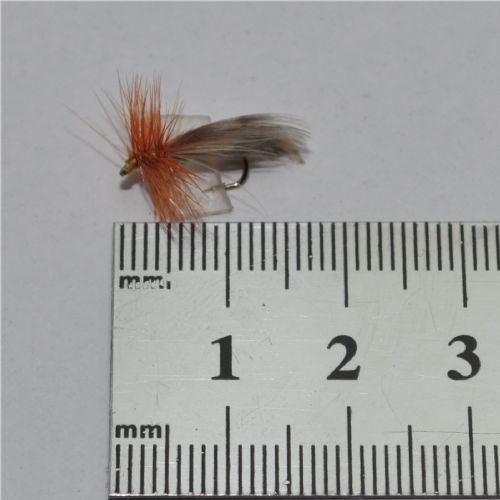 DRY0622 - Europa 12 - Str.14<br>