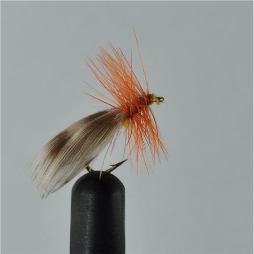 DRY0622 - Europa 12 - Str.14<br>