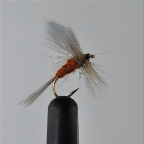 DRY0624 - Leptophlebia Maginata Dun - Str.14<br>