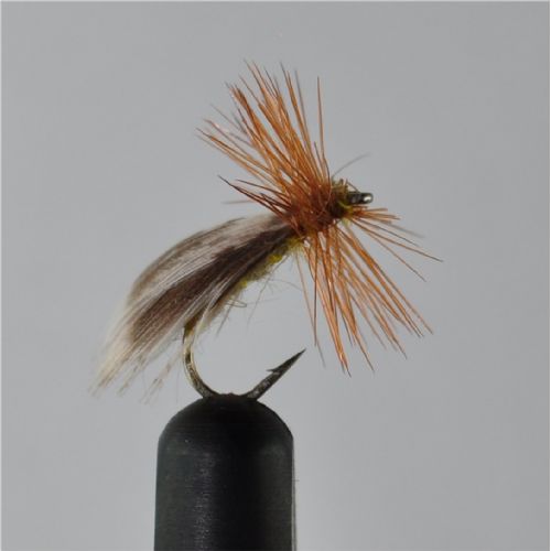 DRY0633 - Europa 12 - Str.16<br>