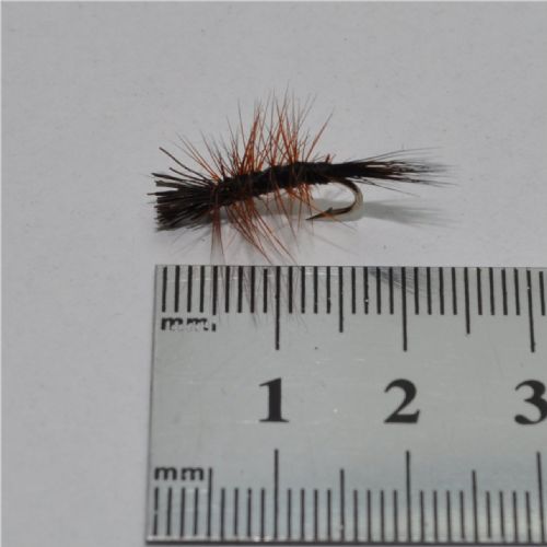 DRY0641 - Dyret The Animal - Str.12<br>