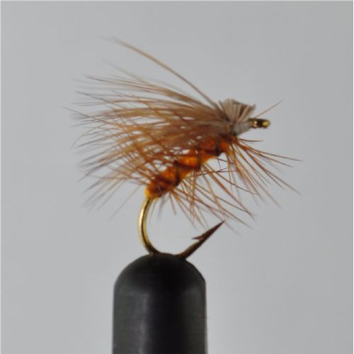 DRY0644 - Elkhair Caddis - Str.14<br>