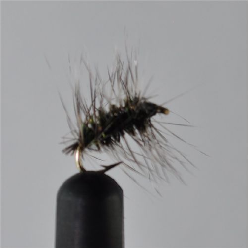 DRY0662 - Griffins Gnat - Str.10<br>
