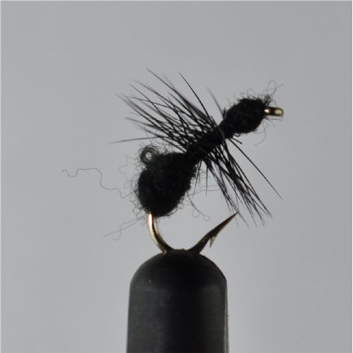 DRY0663 - Black Ant Hackle - Str.14<br>