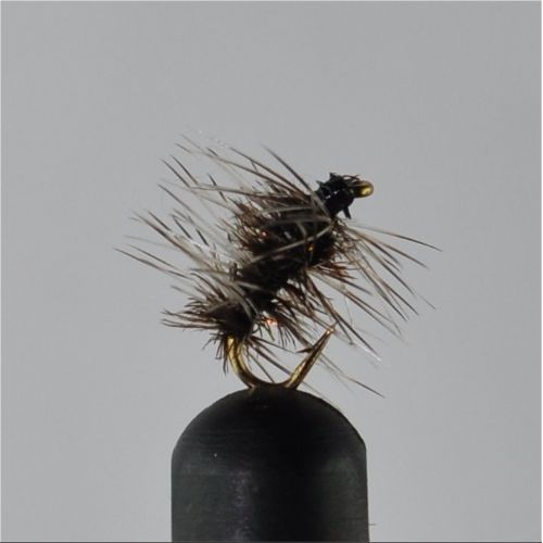 DRY0664 - Griffins Gnat - Str.20<br>